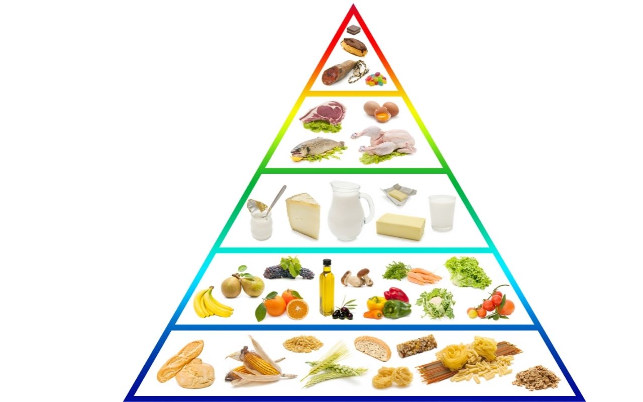 You are currently viewing La pyramide alimentaire : qu’est-ce que c’est ?